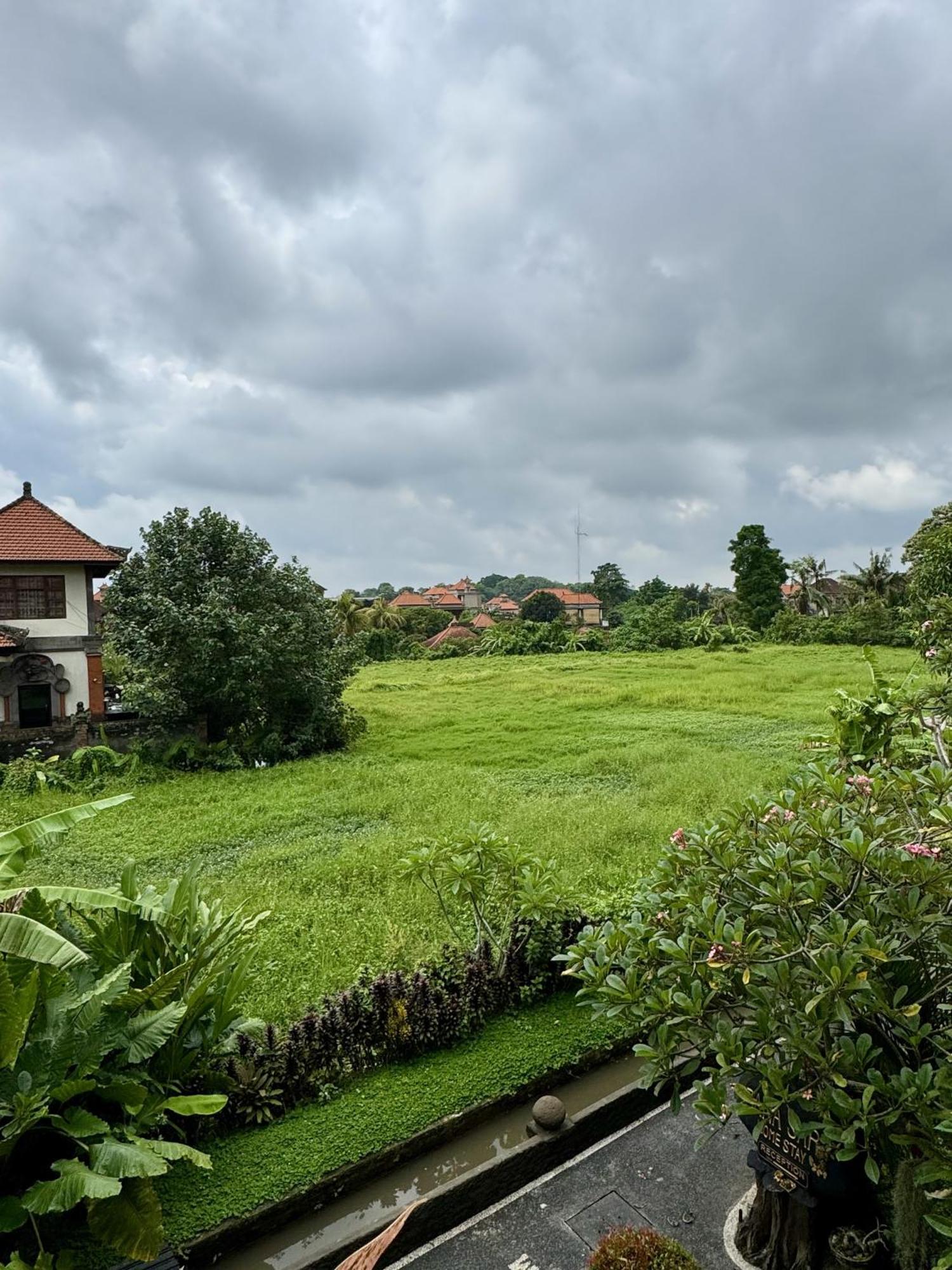 Danasari Homestay Ubud Eksteriør bilde