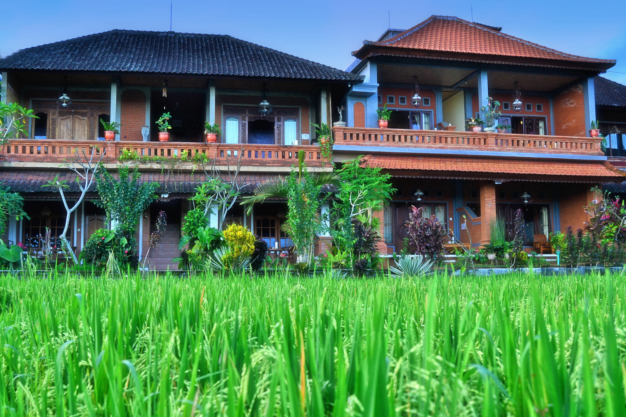 Danasari Homestay Ubud Eksteriør bilde
