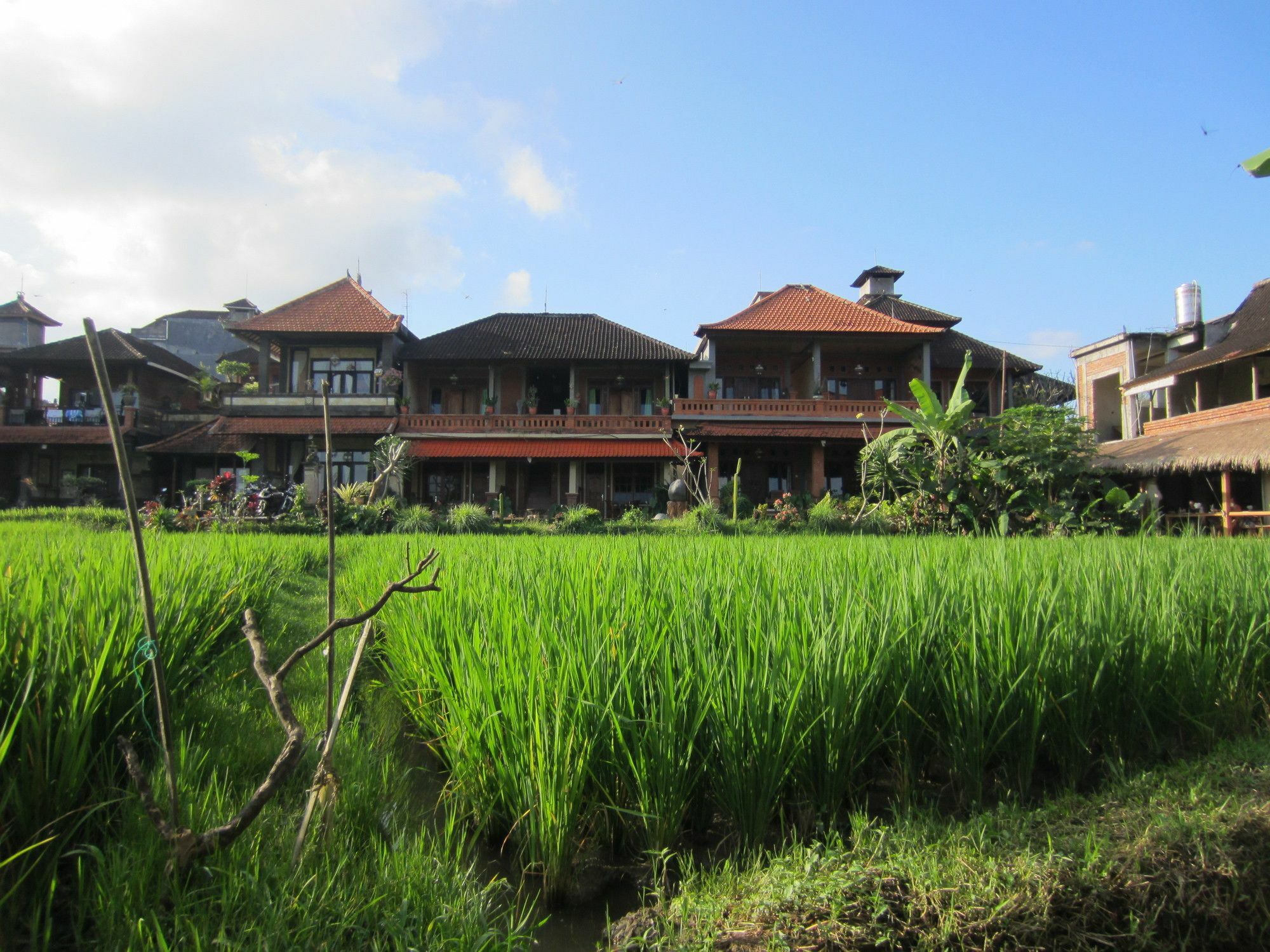 Danasari Homestay Ubud Eksteriør bilde